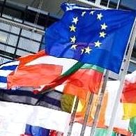 EU flags