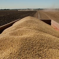 EU imports of American soybeans jump 283 pct