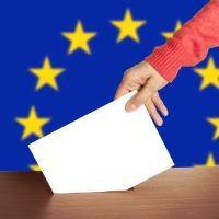 Euro-elections shake up Europe's political establishment