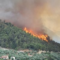 Forest fires hit more European countries than ever before