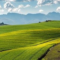 CAP not halting biodiversity loss in farming: EU auditors