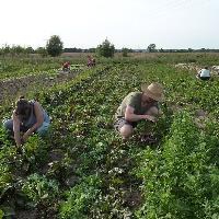 Brussels presents plan to boost organic farming