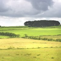 Brussels to offer derogations to ease pressure on EU farmers