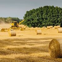 Trade support for Ukraine extended, more protection for EU farmers