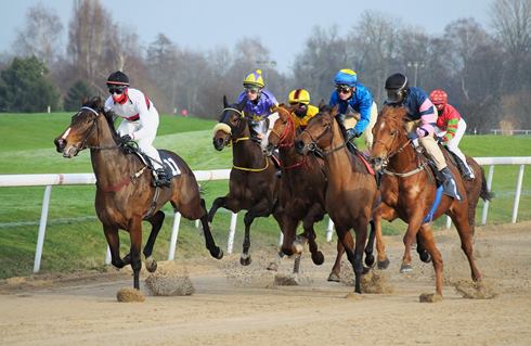 Horse racing - Image by Evgeni Tcherkasski from Pixabay