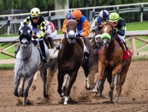 Horses racing - Photo by Clarence Alford on Pixabay