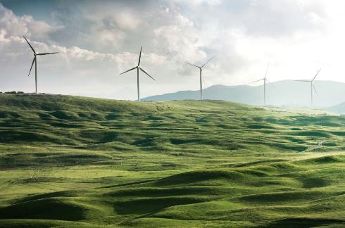 Wind turbines with grass - Photo by Appolinary Kalashnikova on Unsplash