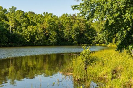 Nature conservation lake - Photo by Pixabay